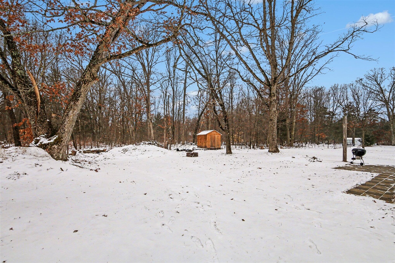 230 Solon Street, Cedar Springs, MI, 49319-8464