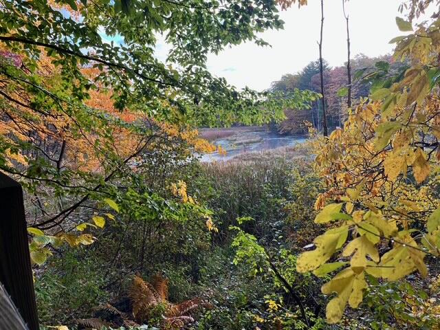 Homes for sale in West Olive, MI | 8079 Pigeon Creek Dr, West Olive, MI 49460 | MLS# 70516700