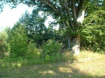 5893 W Austrian Pine Lane, Grant, MI, 49327-8488