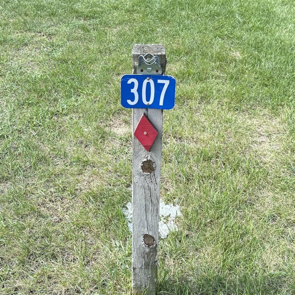 9380 E Circle Drive, Stanwood, MI, 49346-9611