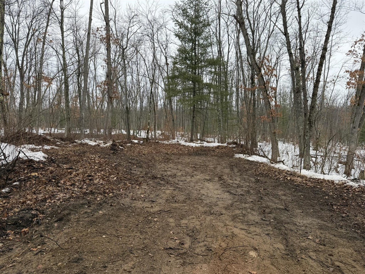 Steinberg Road, Wellston, MI, 49689