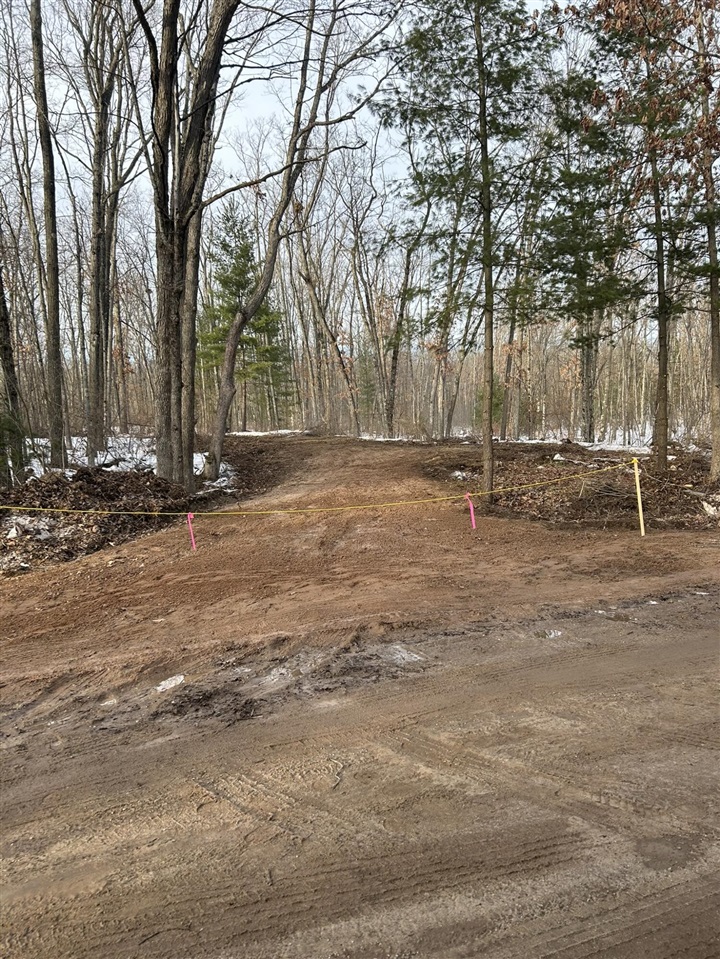 Steinberg Road, Wellston, MI, 49689