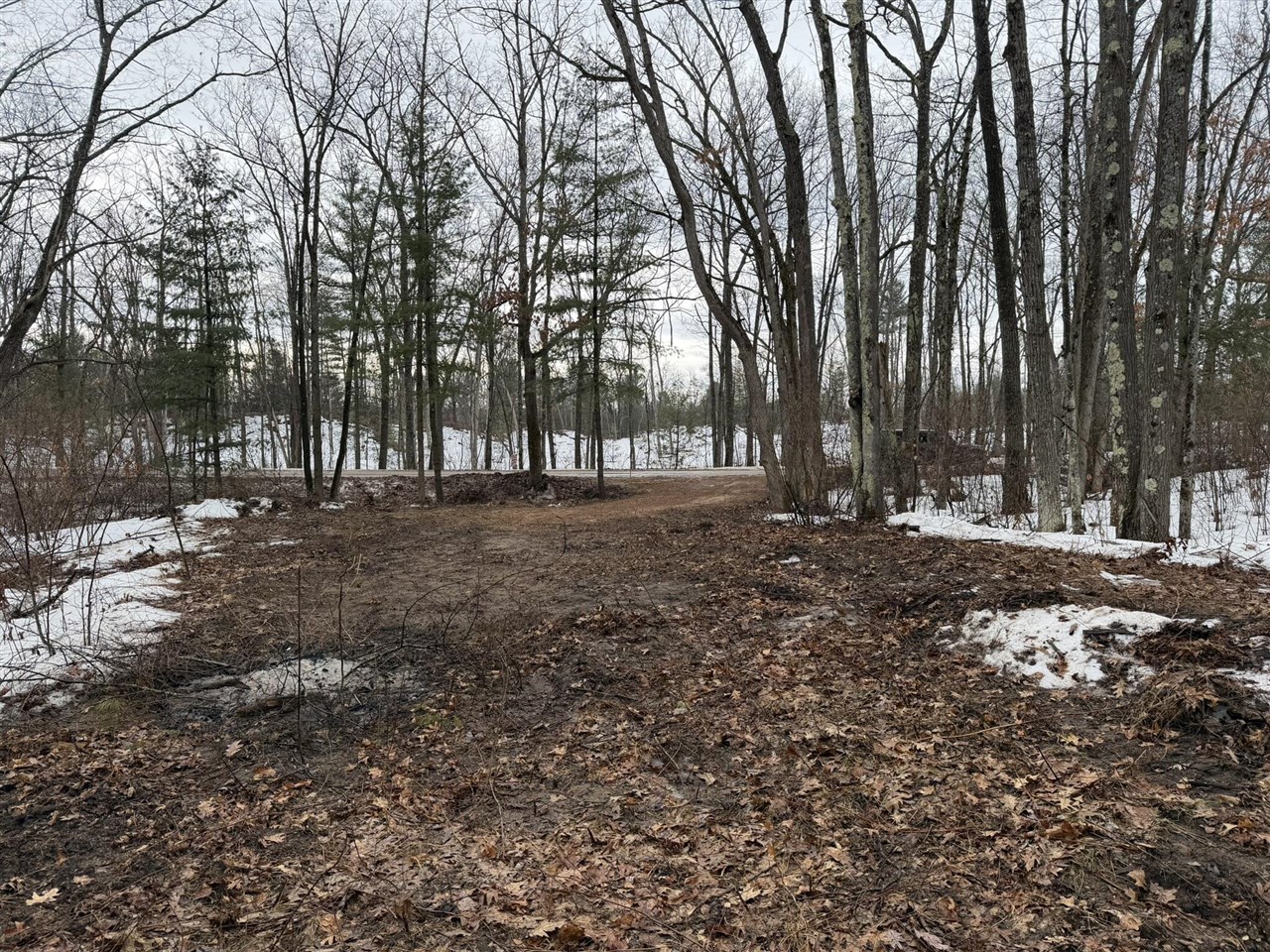 Steinberg Road, Wellston, MI, 49689