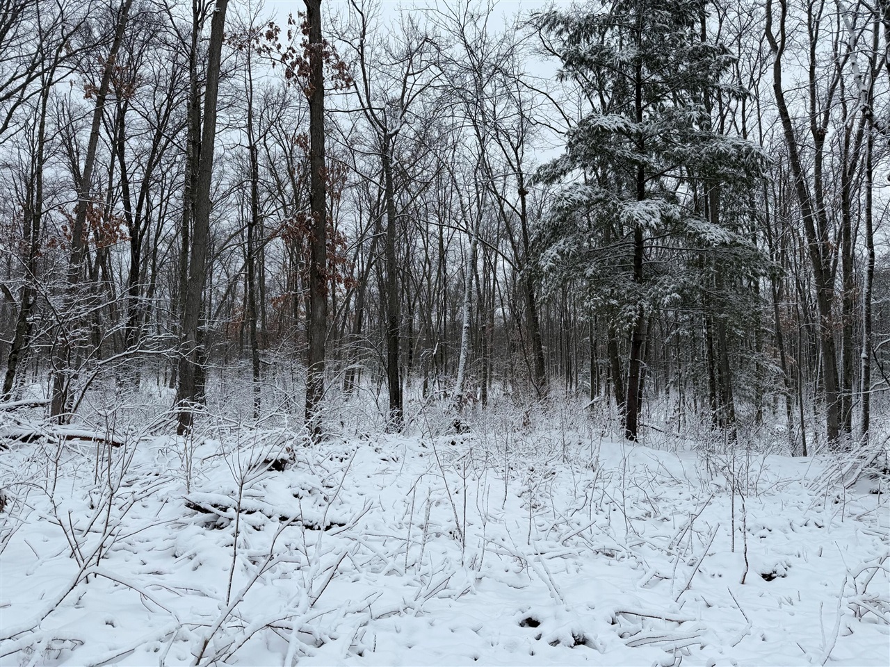 Steinberg Road, Wellston, MI, 49689