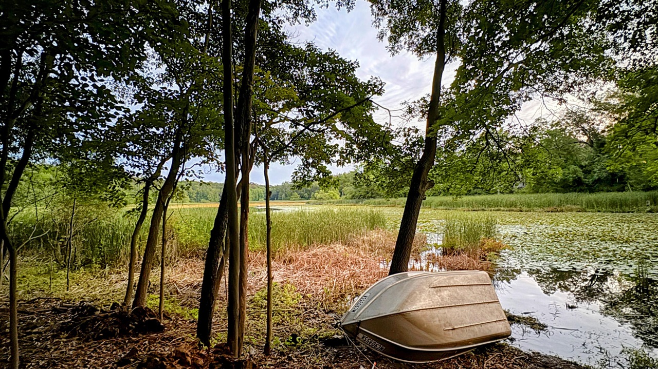 12294 Cranes Avenue, Richland, MI, 49083