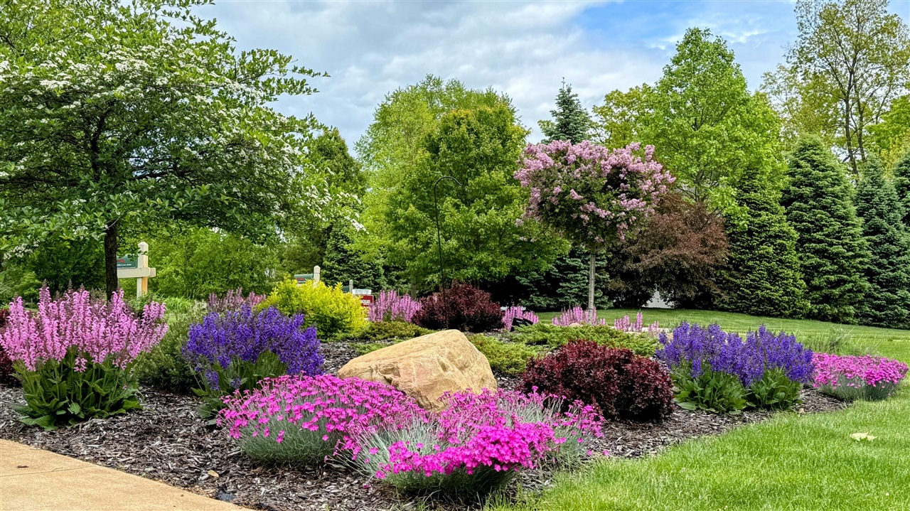 12294 Cranes Avenue, Richland, MI, 49083