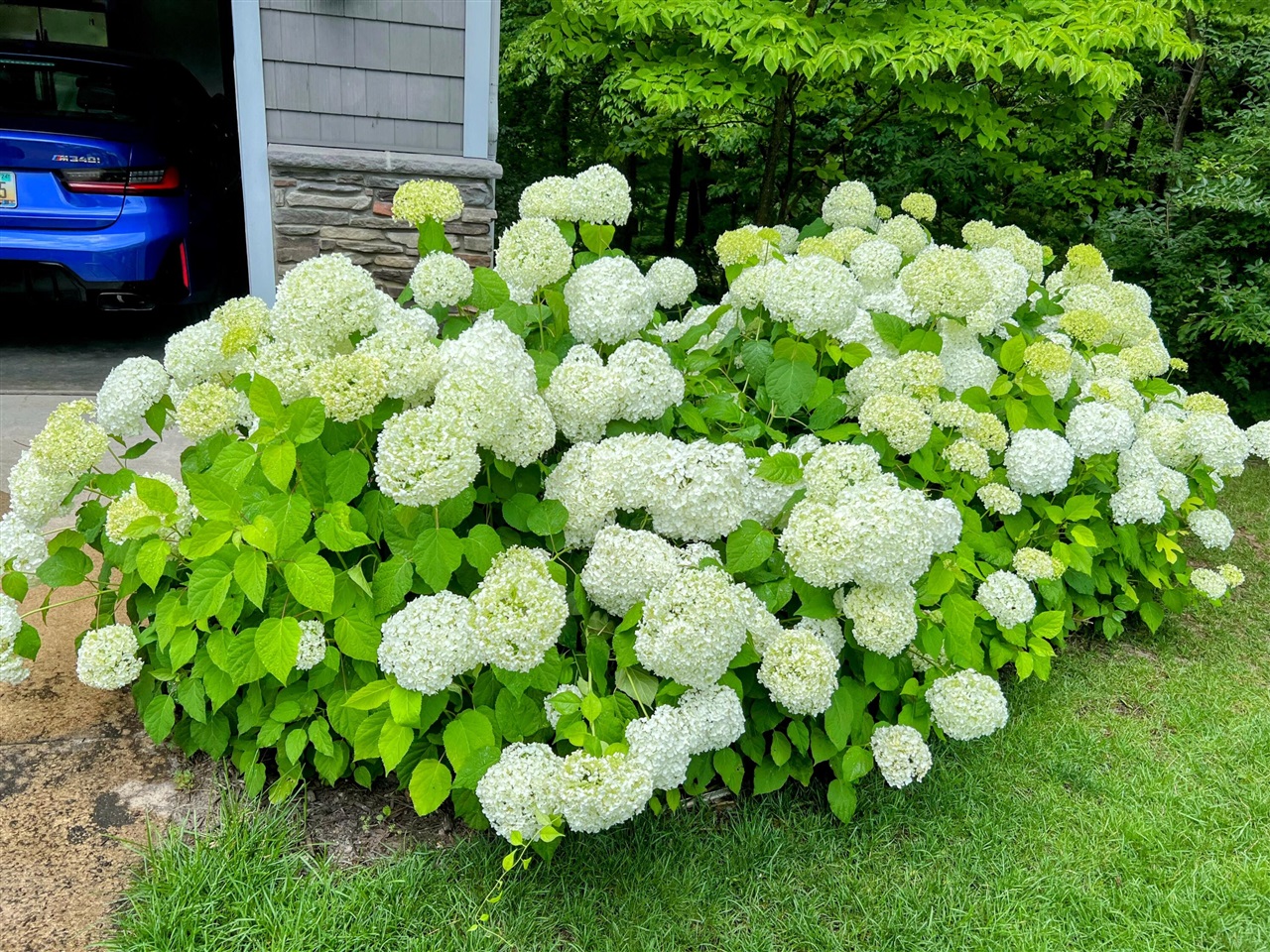 12294 Cranes Avenue, Richland, MI, 49083