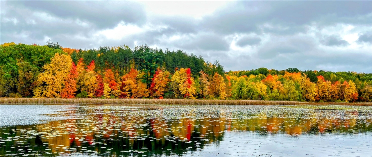 12294 Cranes Avenue, Richland, MI, 49083