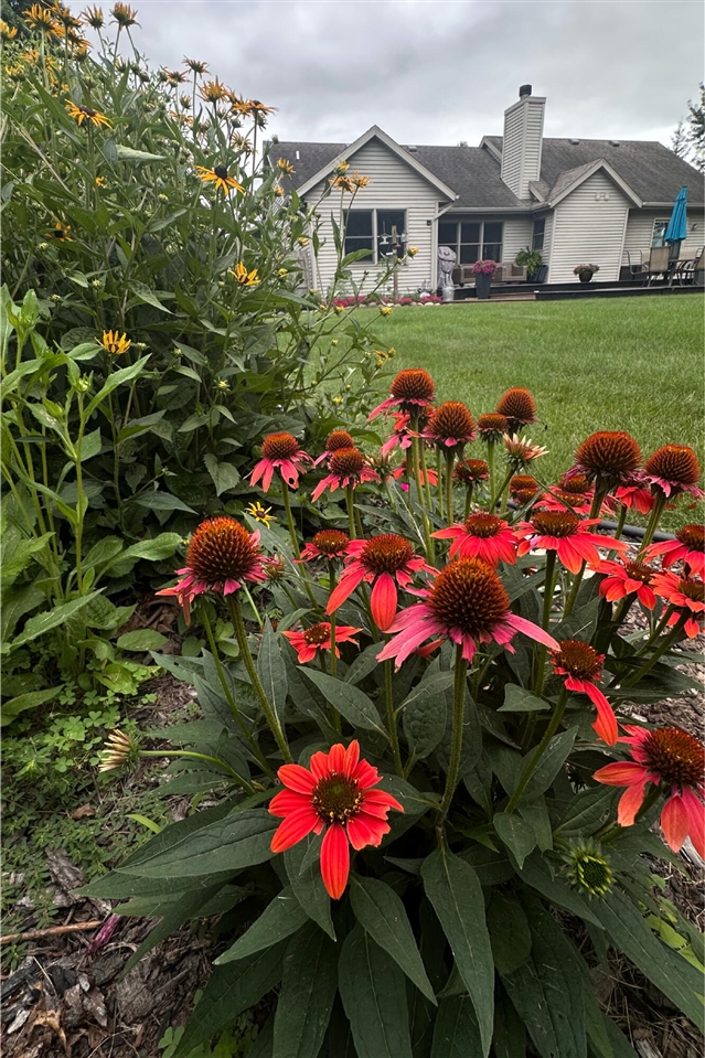 Homes for sale in Vicksburg, MI | 1277 Jo Fran Dr, Vicksburg, MI 49097 | MLS# 70517086