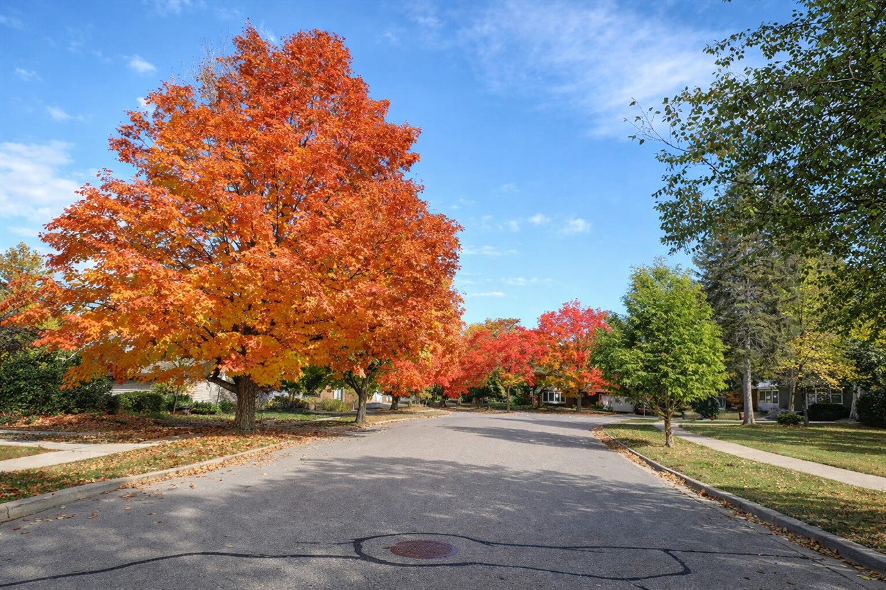 1434 Pine Valley Boulevard, Ann Arbor, MI, 48104-6710