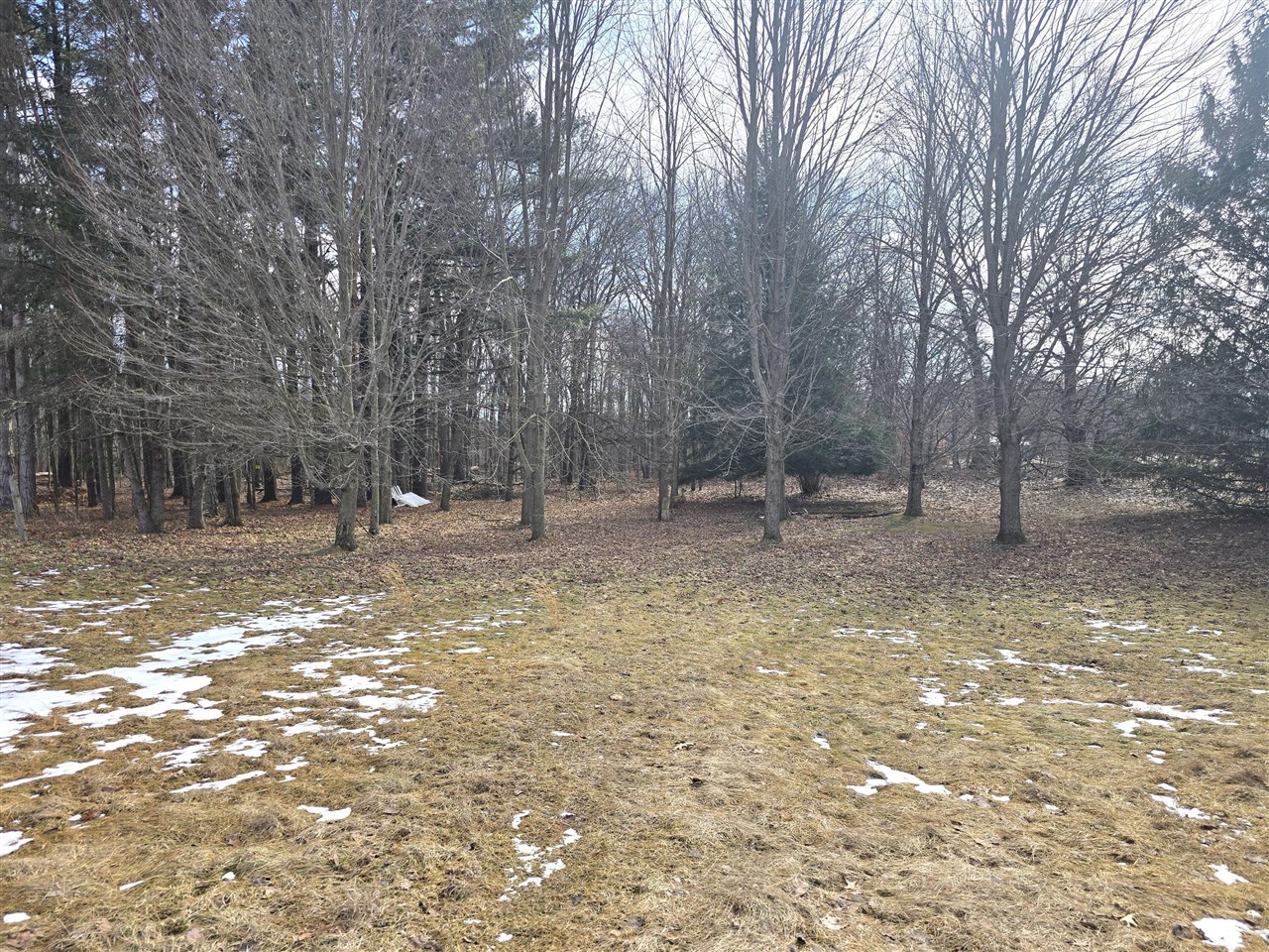 8020 Day Road, Bellevue, MI, 49021