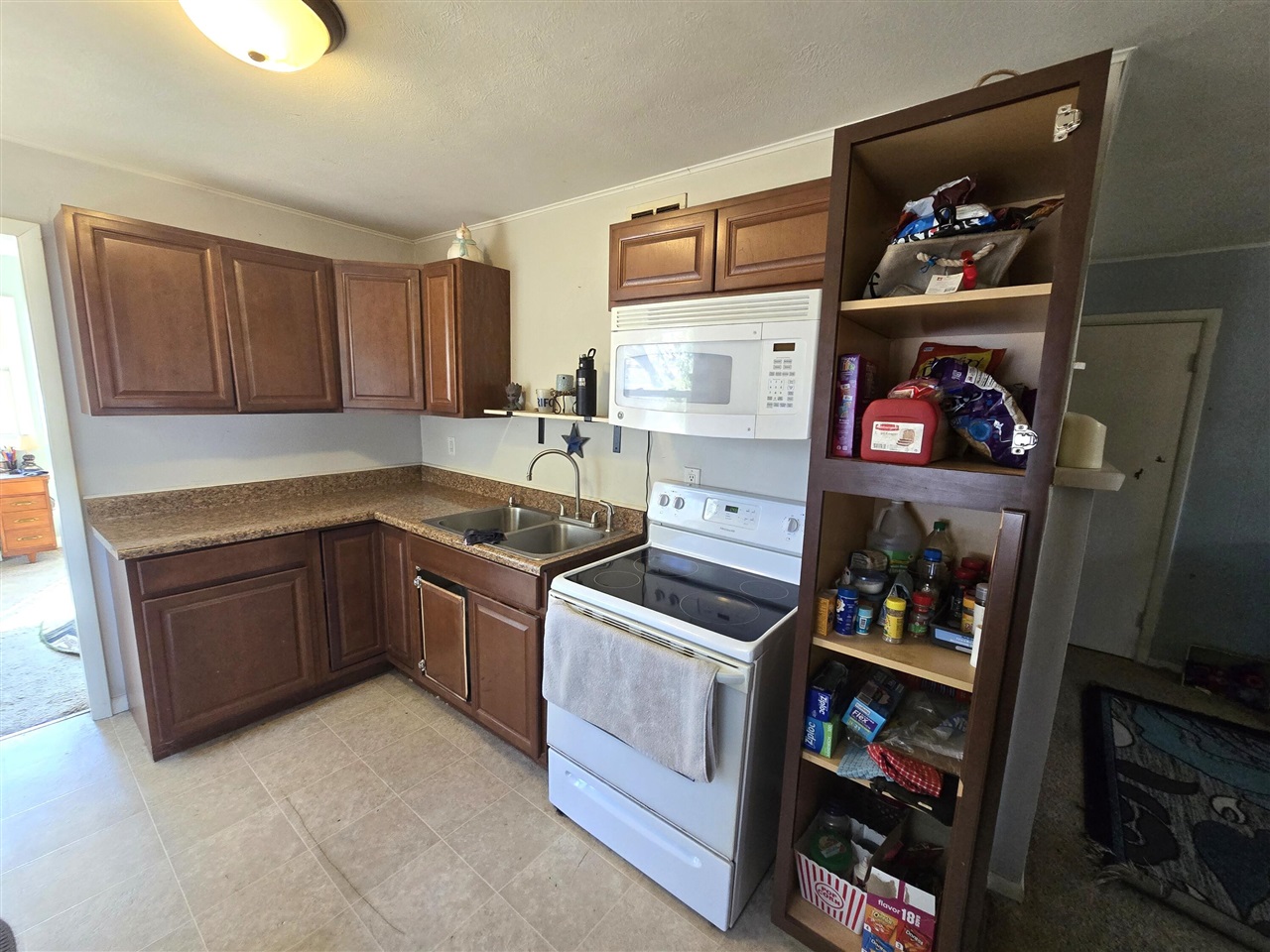 8020 Day Road, Bellevue, MI, 49021