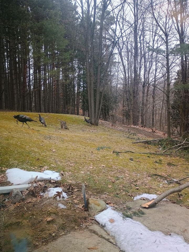 167 Mill Road photo 17