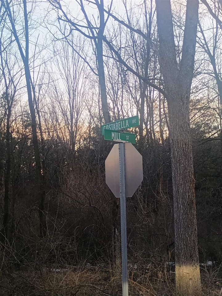 167 Mill Road photo 19