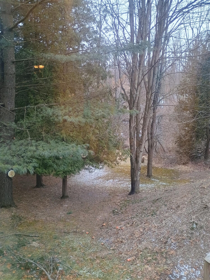 167 Mill Road photo 21