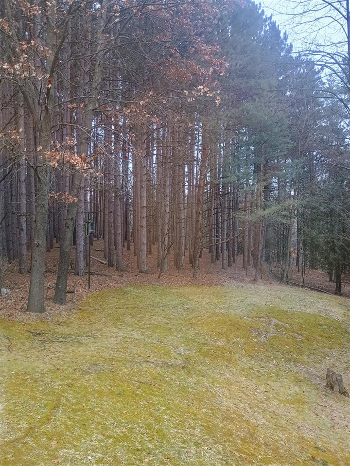 167 Mill Road photo 22