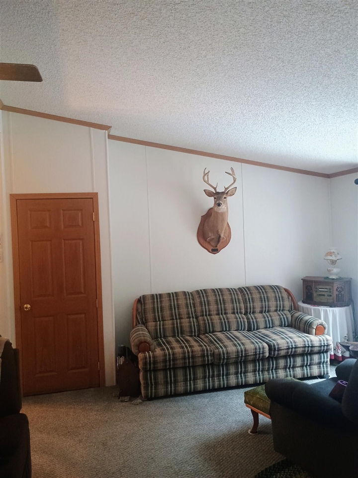 167 Mill Road photo 6