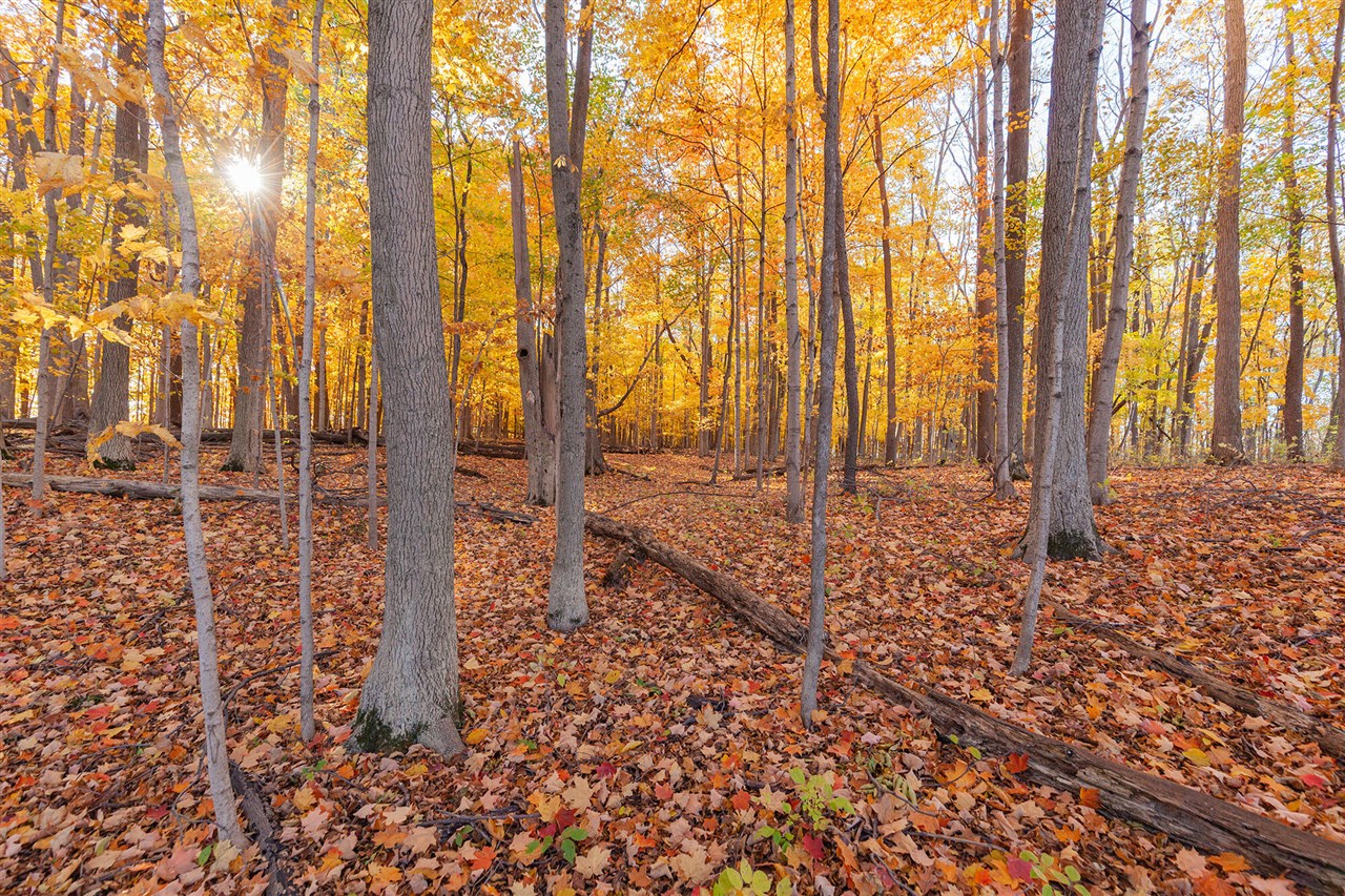 1215 Corporate Drive UNIT&nbsp;Bldg: 1, Adrian, MI, 49221