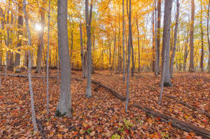 1215 Corporate Drive UNIT&nbsp;Bldg: 1, Adrian, MI, 49221