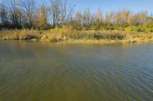 1215 Corporate Drive UNIT&nbsp;Bldg: 1, Adrian, MI, 49221