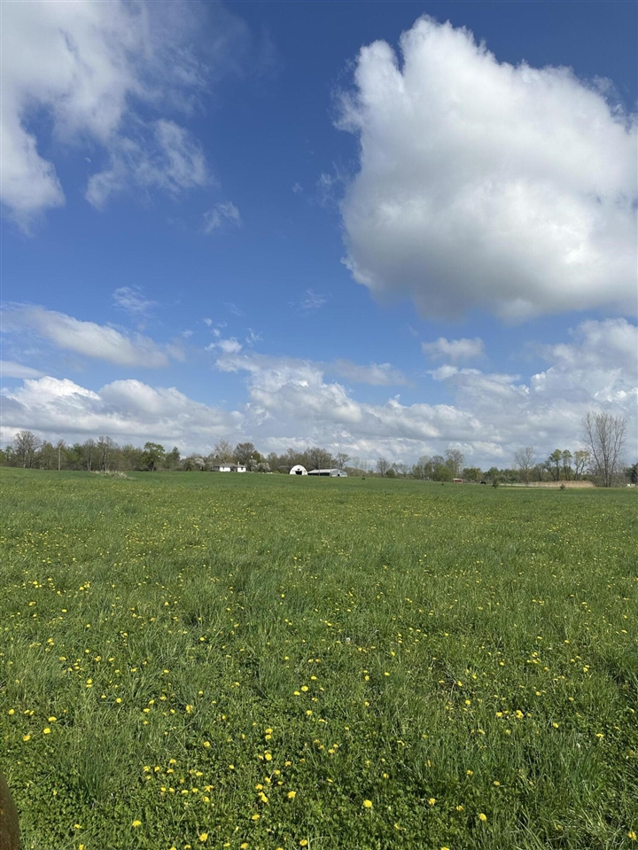 6045 Herrington Road photo 5