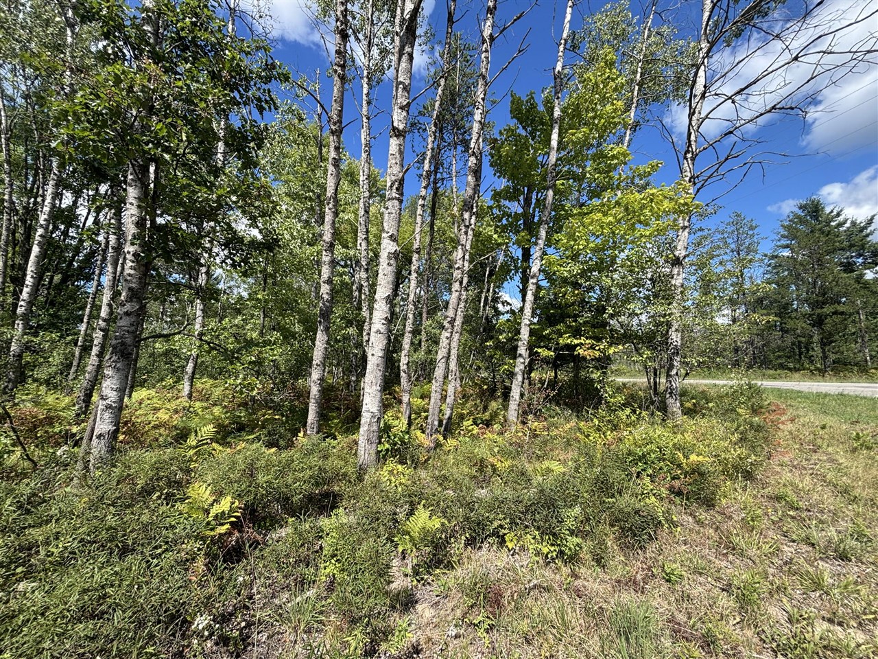 V/L 72nd Street, Idlewild, MI, 49642
