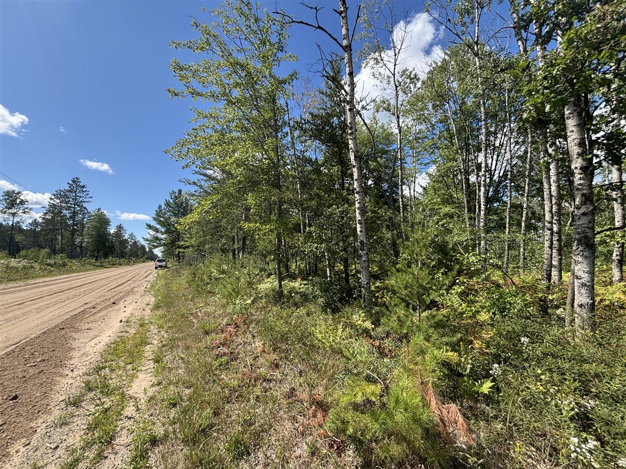 V/L 72nd Street, Idlewild, MI, 49642
