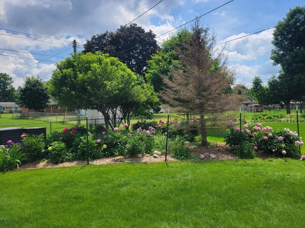 829 Thorntree Boulevard, Jackson, MI, 49203-2517