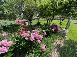 829 Thorntree Boulevard, Jackson, MI, 49203-2517