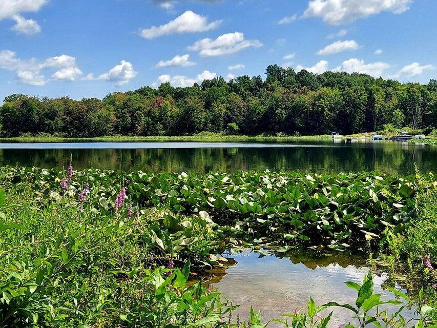 Homes for sale in Paw Paw, MI | 41823 Waukeenah Dr, Paw Paw, MI 49079 | MLS# 70517398