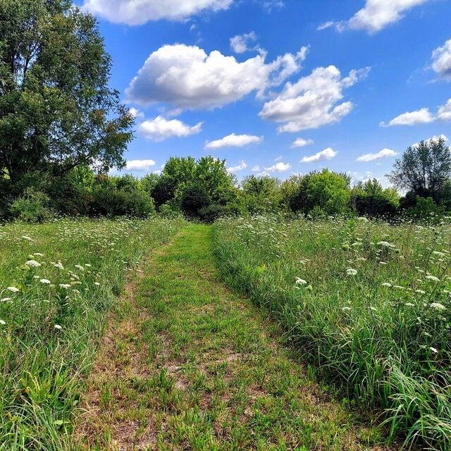 Homes for sale in Paw Paw, MI | 41823 Waukeenah Dr, Paw Paw, MI 49079 | MLS# 70517398