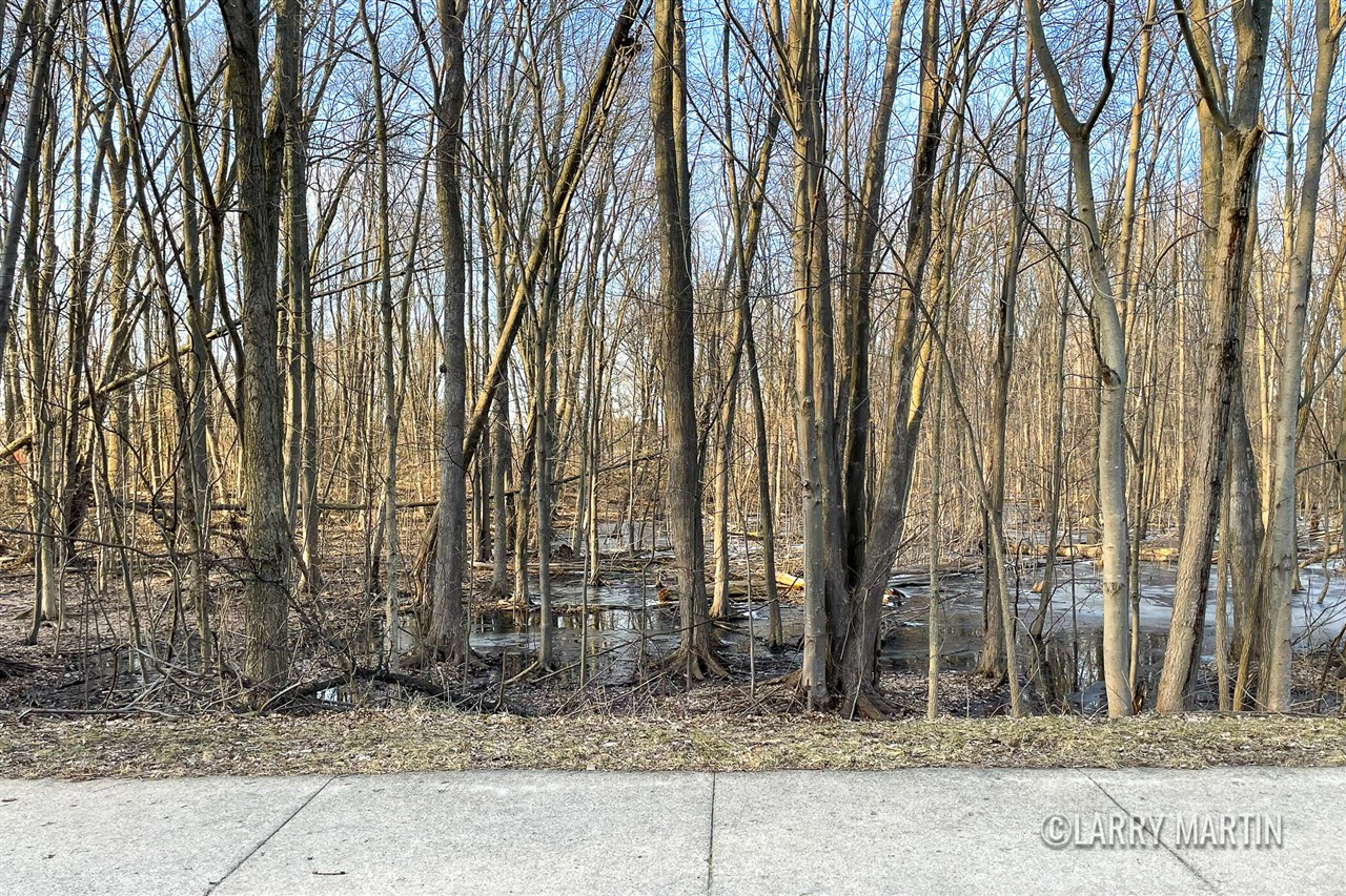 3655 40th Street, Grandville, MI, 49418-3133