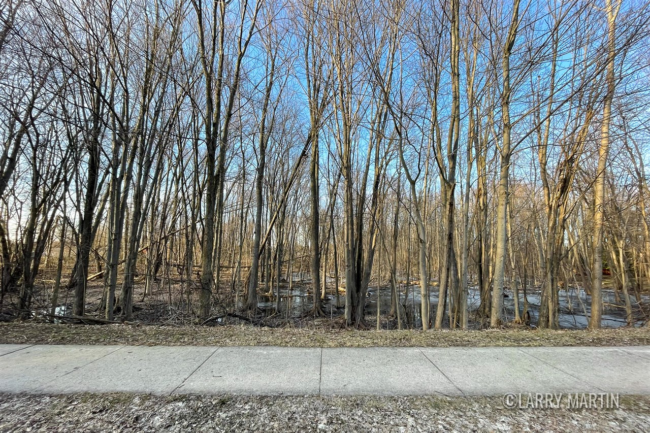 3655 40th Street, Grandville, MI, 49418-3133