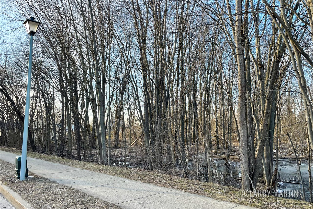 3655 40th Street, Grandville, MI, 49418-3133