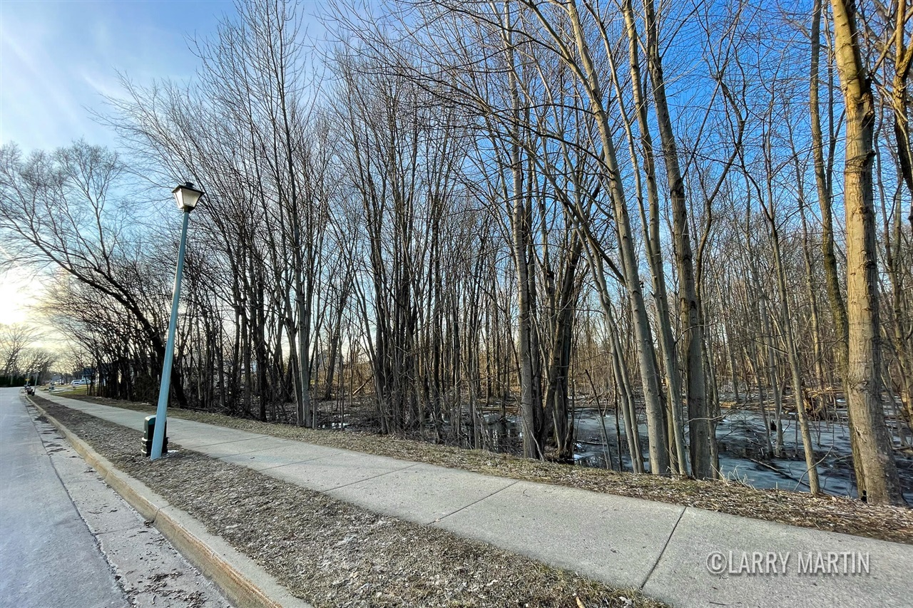 3655 40th Street, Grandville, MI, 49418-3133