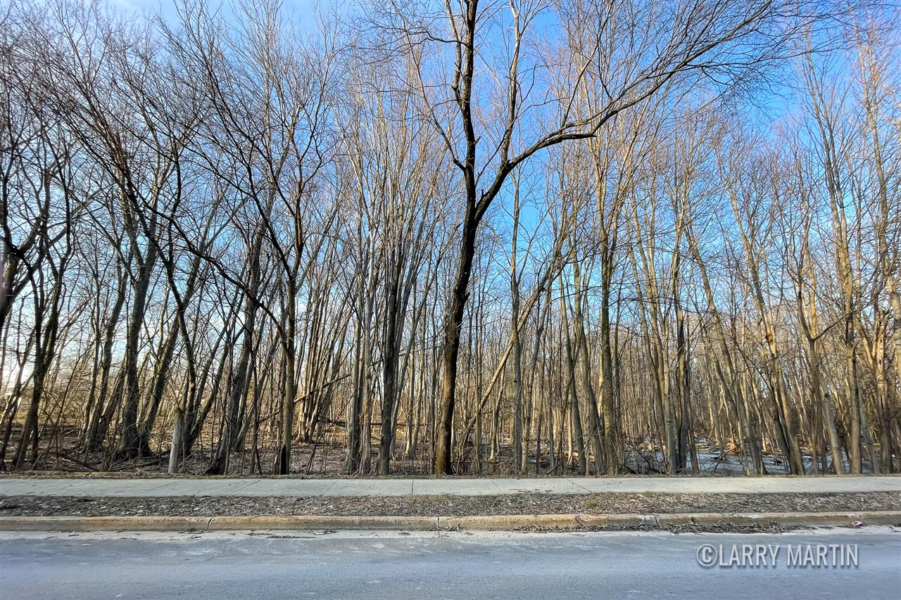 3655 40th Street, Grandville, MI, 49418-3133