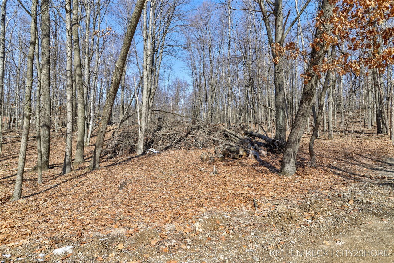 2nd image of 11280 Apache Wells Ct, Stanwood, MI 49346 | MLS# 70517467