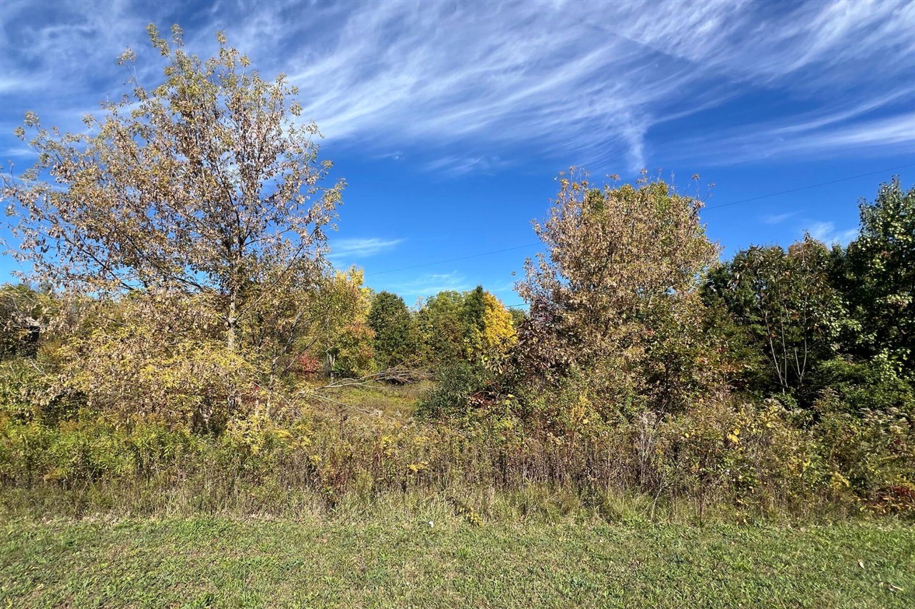 5577 Cannon Meadows Drive photo 18