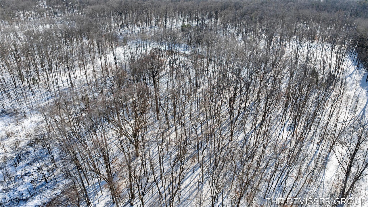 Lot C Rolling Ridge Road, Allegan, MI, 49010