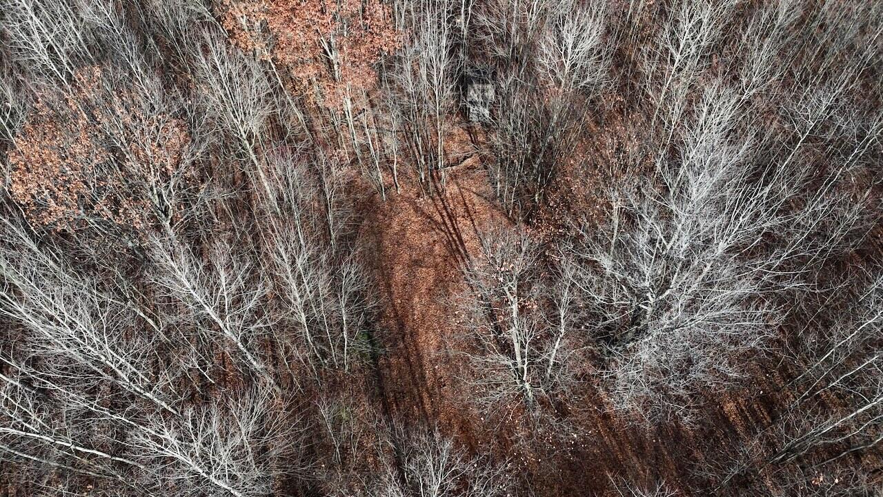 6495 Jackson Avenue, Lake, MI, 48632-9225