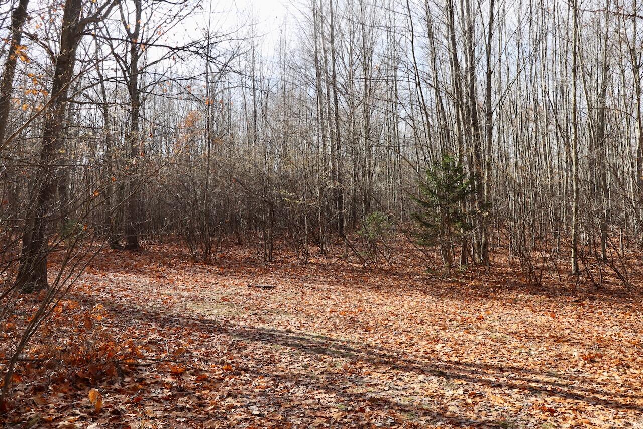 6495 Jackson Avenue, Lake, MI, 48632-9225