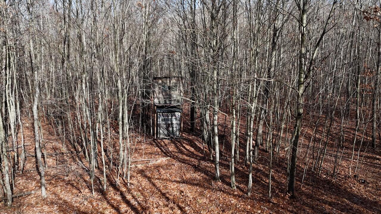 6495 Jackson Avenue, Lake, MI, 48632-9225