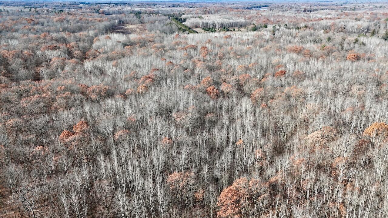 6495 Jackson Avenue, Lake, MI, 48632-9225