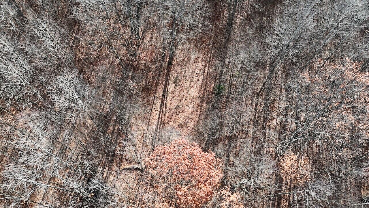 6495 Jackson Avenue, Lake, MI, 48632-9225