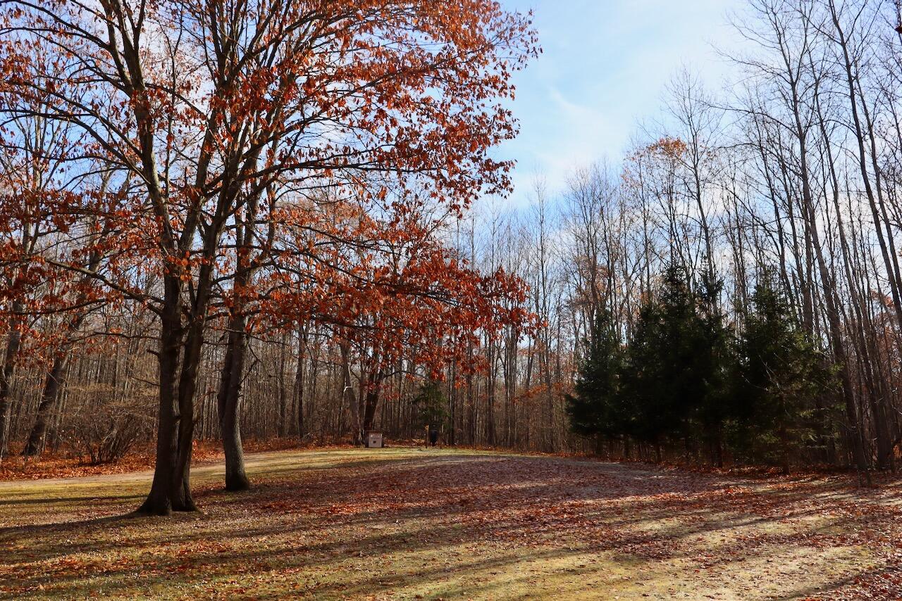 6495 Jackson Avenue, Lake, MI, 48632-9225