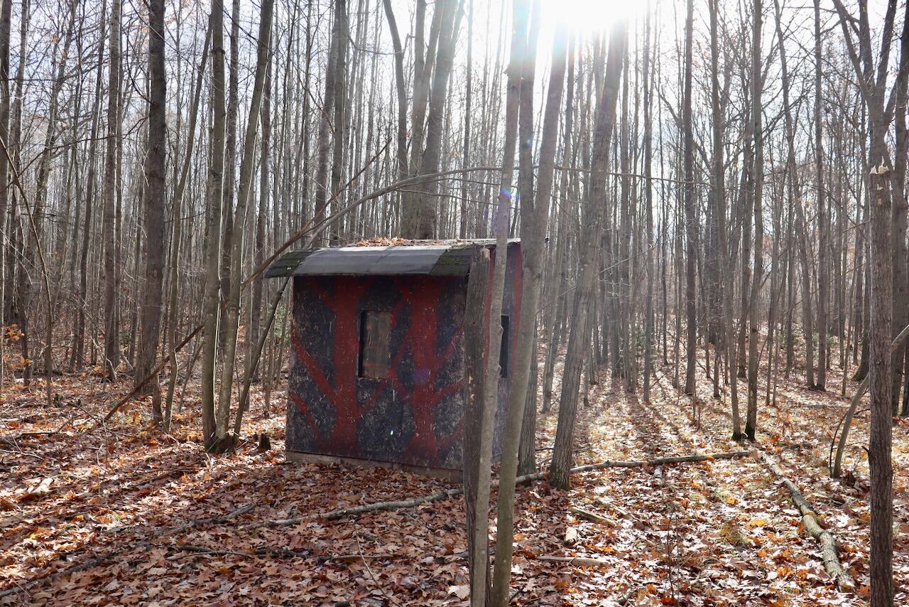 6495 Jackson Avenue, Lake, MI, 48632-9225