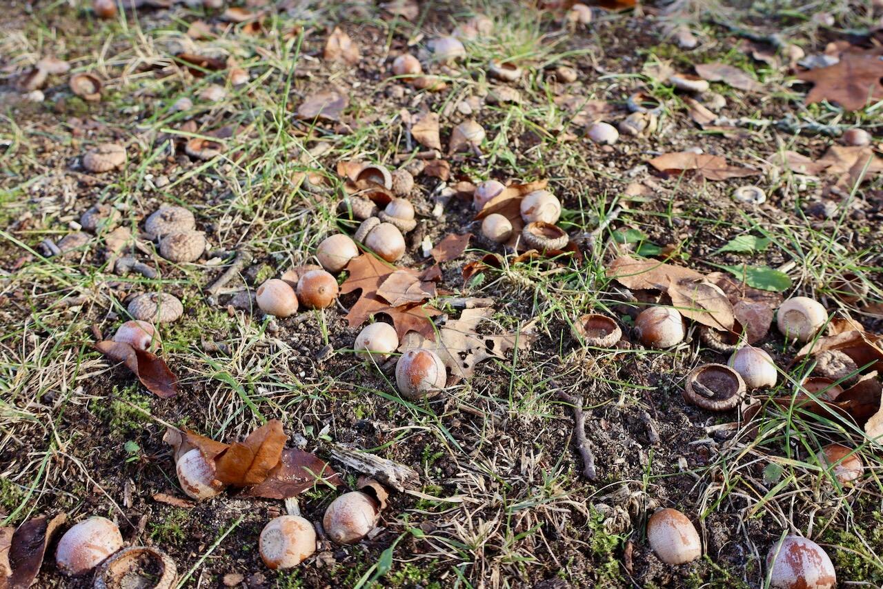 6495 Jackson Avenue, Lake, MI, 48632-9225