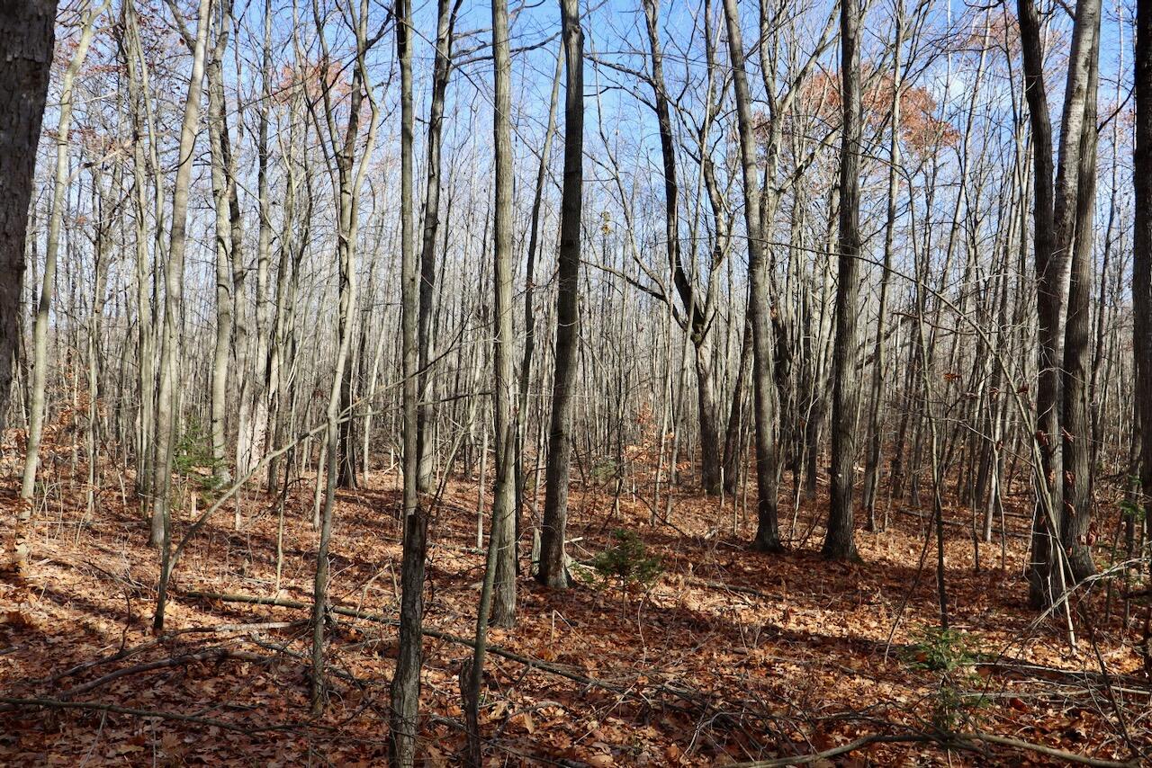 6495 Jackson Avenue, Lake, MI, 48632-9225