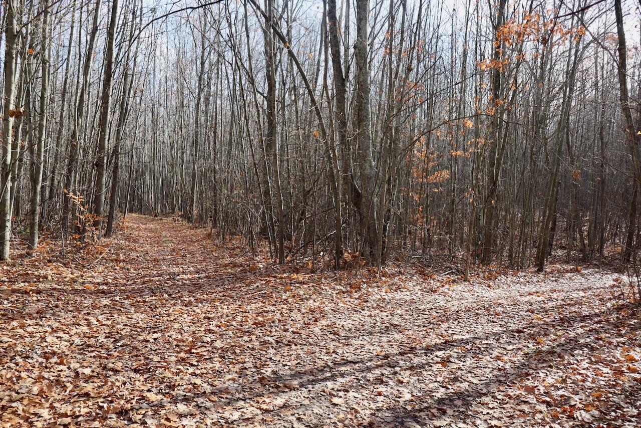 6495 Jackson Avenue, Lake, MI, 48632-9225