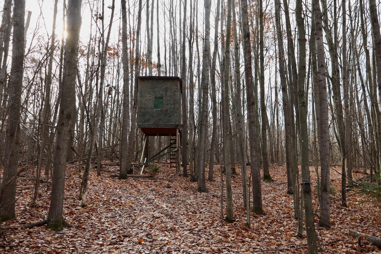 6495 Jackson Avenue, Lake, MI, 48632-9225